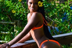 04f4eb33-24f0-4a85-abc2-3267fe409259