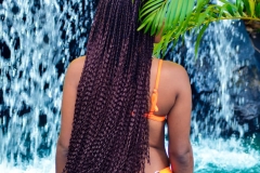 2a1c5688-e60e-4757-a590-ea44ef3622c7