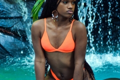 c1bf6707-173f-42d0-821e-81ca00630eb9