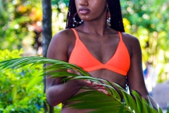 faea9ee3-dafc-45e7-afde-ab103430d4bd