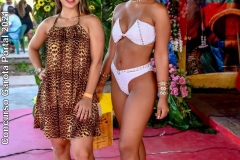 86f2c4da-9d58-47b2-84e9-662b009eb5db