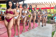 bb86995c-6509-4f05-b6f5-336dde1ac376