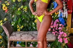 c7d51920-911e-4d95-a3b6-0285aca515d0