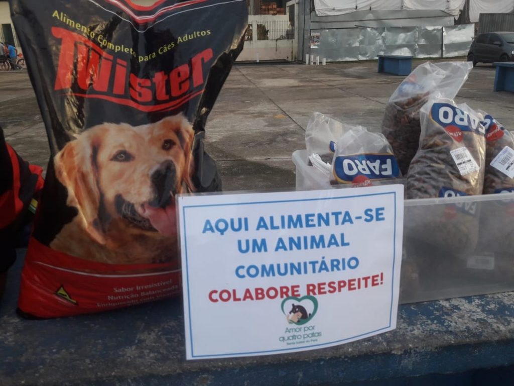Comedouros públicos alimentam cães e gatos abandonados nas ruas de Santa Izabel do Pará.