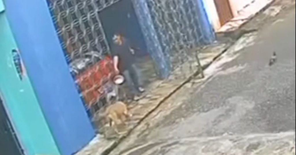 Homem é preso após jogar água quente em cachorro