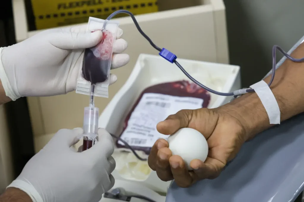 Doação de sangue garante funcionamento da rede de saúde e salva vidas diariamente no Pará